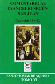 COMENTARIO AL EVANGELIO SEGUN SAN JUAN 6 CAPITULOS 11 12