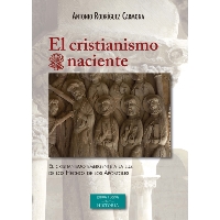 EL CRISTIANISMO NACIENTE 230 EL CRISTINISMO EMERGENTE A LA LUZ DE LOS HECHOS DE LOS APOSTOLES