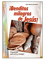 BENDITOS MILAGROS DE JESUS 79 PROPUESTAS PARA ORAR Y TRABAJAR